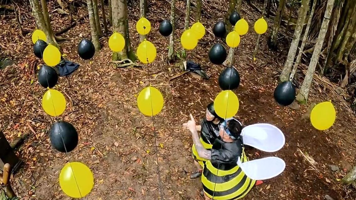 Dschungel4.JPG