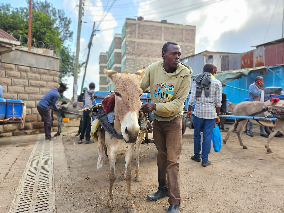 wtg-esel-kenia-halter-wassertransport-c-Welttierschutzgesellschaft-e-V