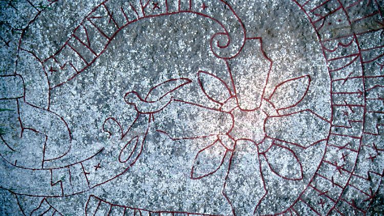Die mit Schrift- und Symbolzeichen versehenen Steine wurden in der Wikingerzeit auf Gräber gestellt, um Verstorbene zu würdigen. 