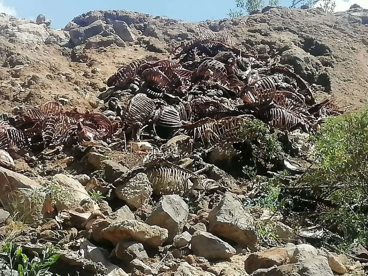 nicht-weiterverwenden