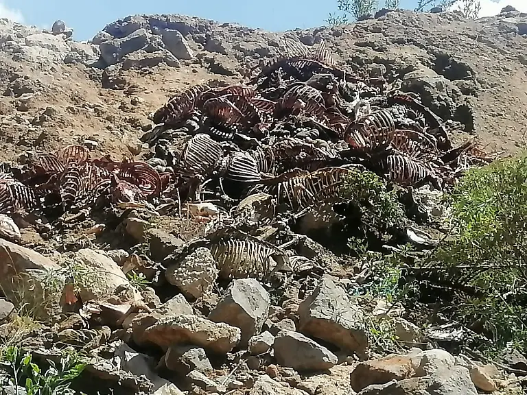 nicht-weiterverwenden