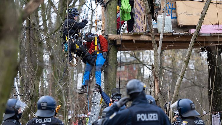 Viele Aktivisten leben seit 2021 in Baumhäusern, um gegen die Rodung zu protestieren.