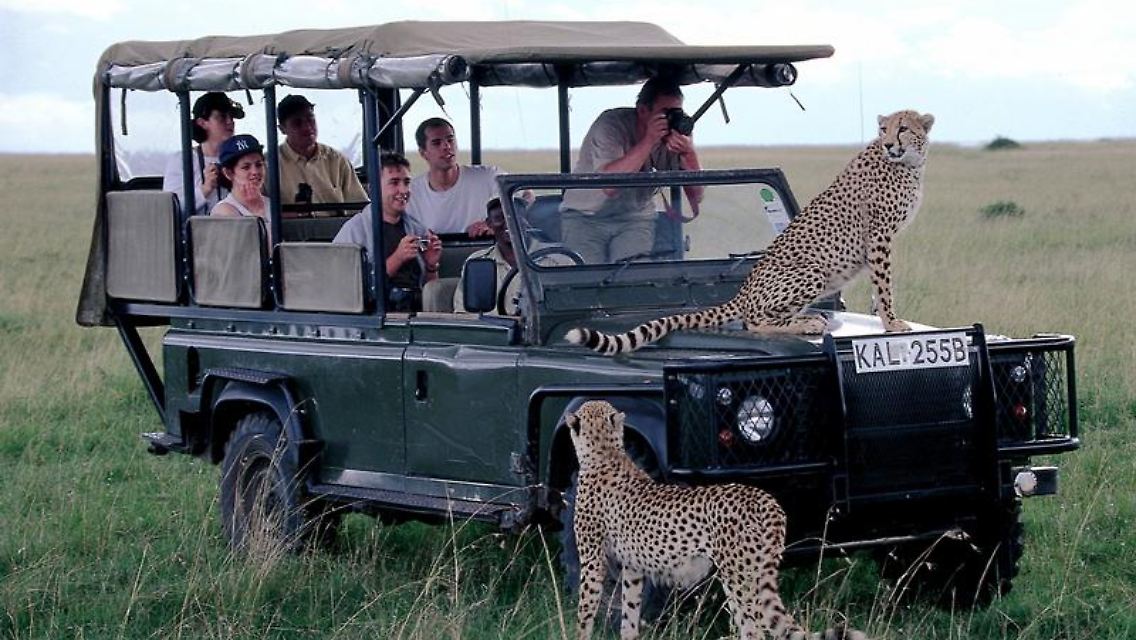 Eine Fahrt mit dem Jeep durch Kenias Nationalparks ermöglicht ganz besondere Einblicke.