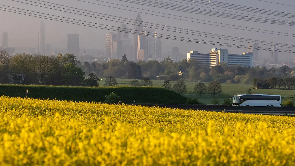 Sonnenaufgang-in-Frankfurt-am-Main