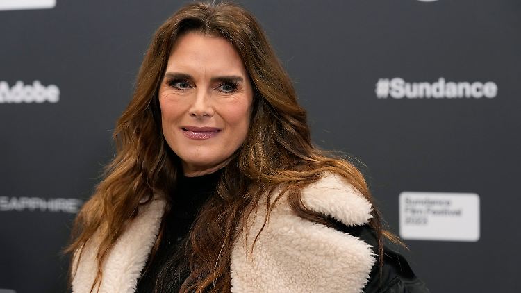 Brooke Shields hat bisher nie öffentlich über den Fall gesprochen.