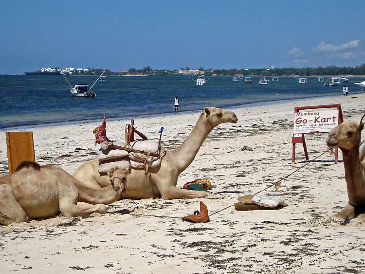 Kenia bietet Touristen zum Beispiel malerische Strände.