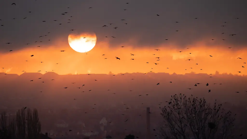 urn-binary-dpa-com-20090101-240506-935-91037-FILED