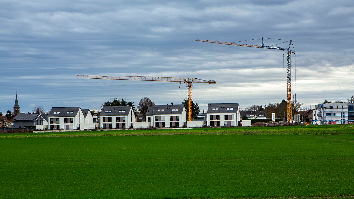 390510146.jpg
