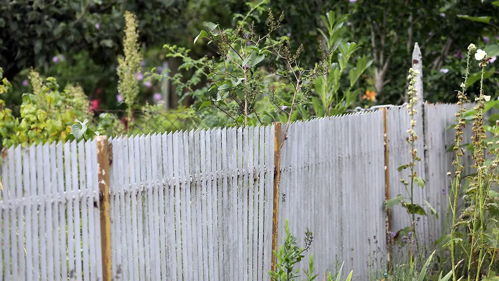 Blick-auf-einen-Gartenzaun-in-einer-Kleingartenanlage