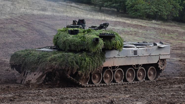 Wegen der Lieferung von Leopard-Panzern wird Deutschland zum Ziel von Attacken im Internet - die gab es aber auch vorher schon regelmäßig.