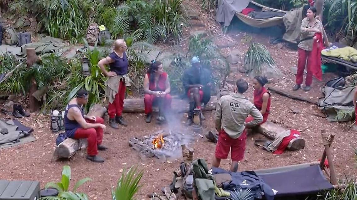 Dschungelcamp.JPG