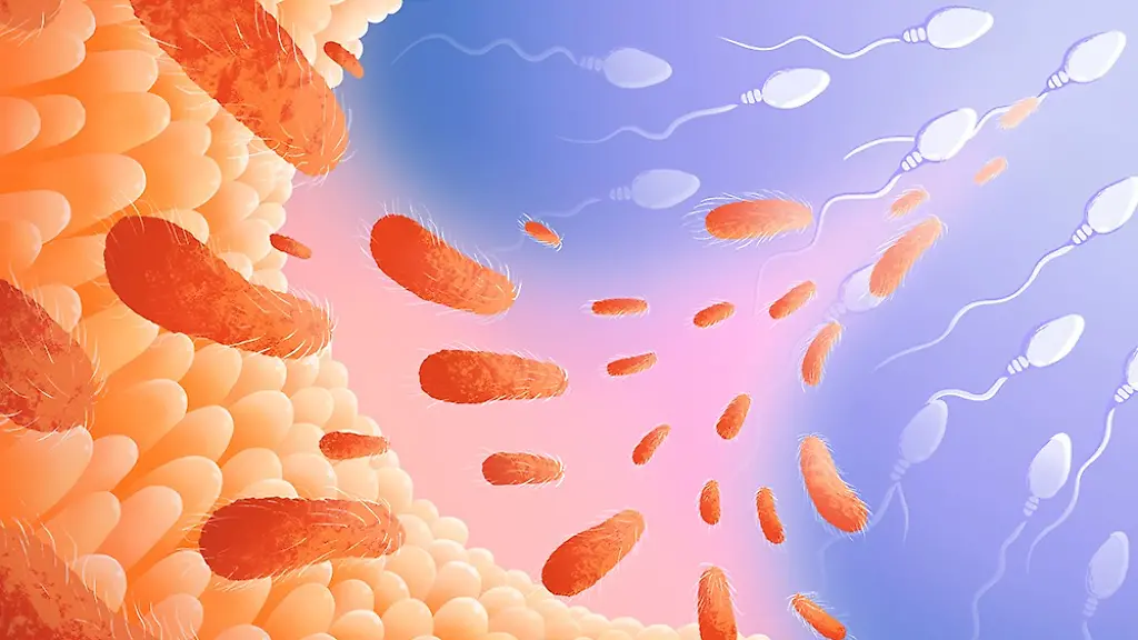 urn-binary-dpa-com-20090101-240501-99-877204-FILED