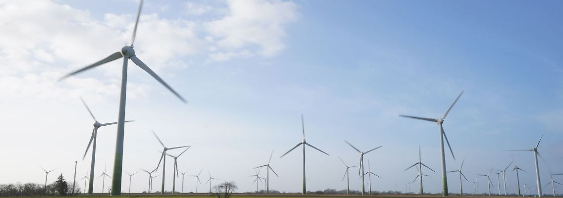 Windenergieanlagen stehen auf einem Feld.