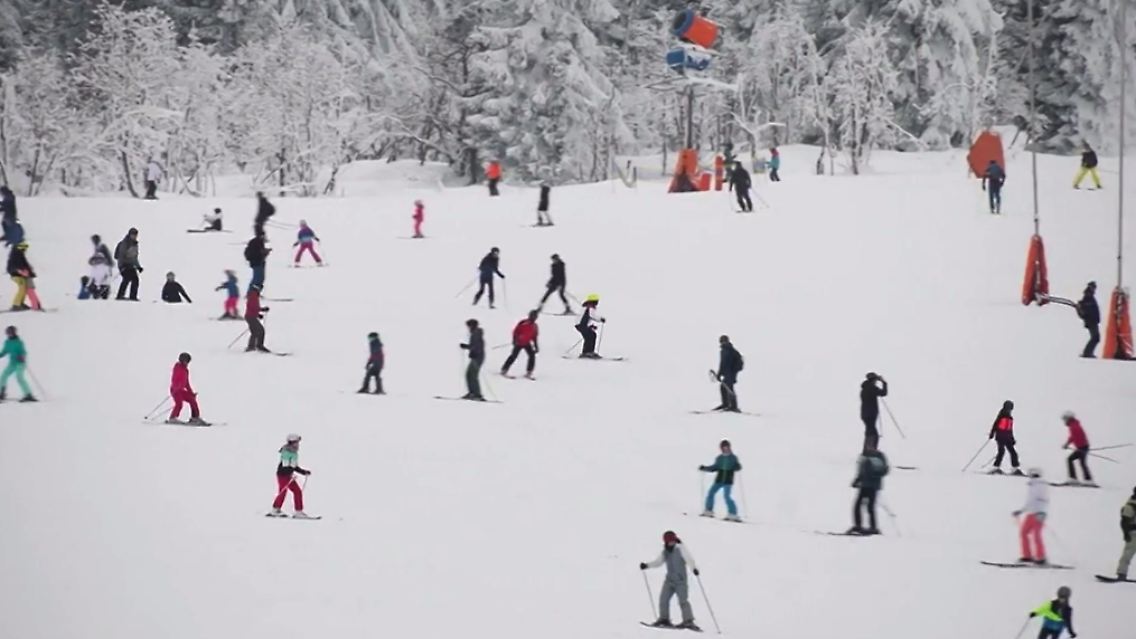 ski.PNG
