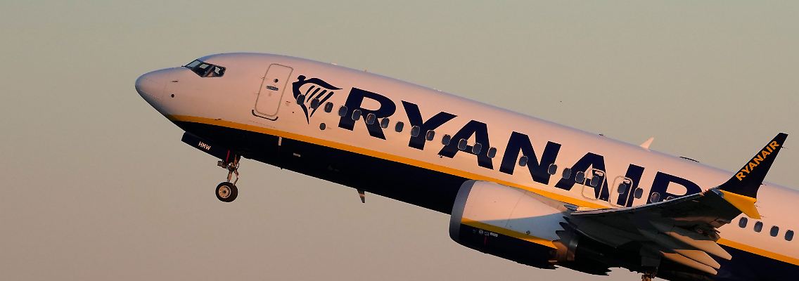 392681795.jpg