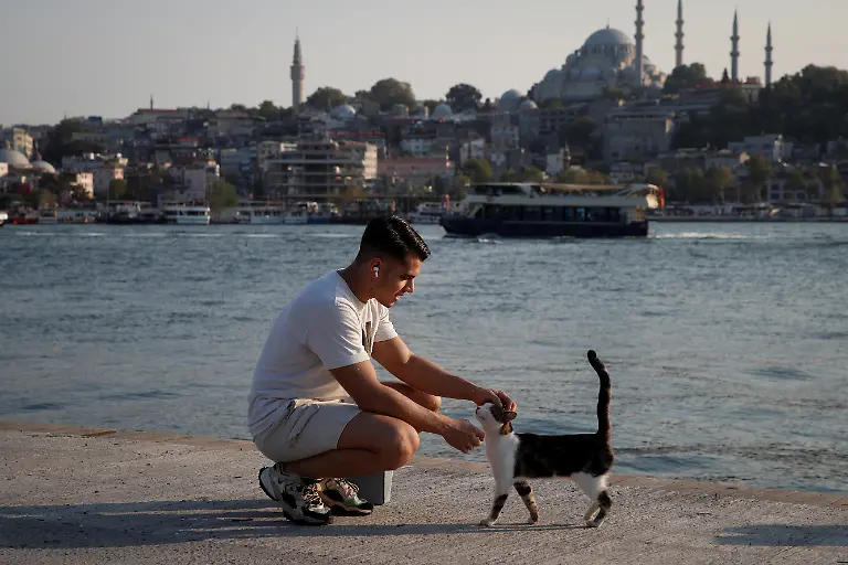 2024-05-01T080035Z-1532845681-RC2QT2ADOTZK-RTRMADP-3-TURKEY-LGBT-DRAG