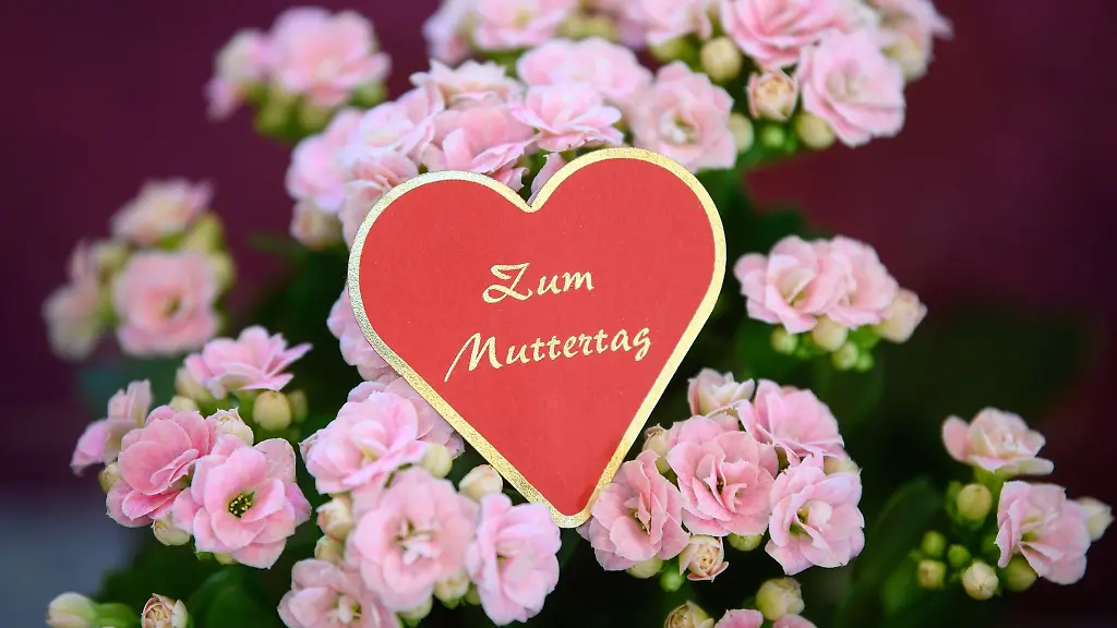 Blumen-zaehlen-zu-den-beliebtesten-Geschenken-zum-Mutterag-Symbolbild