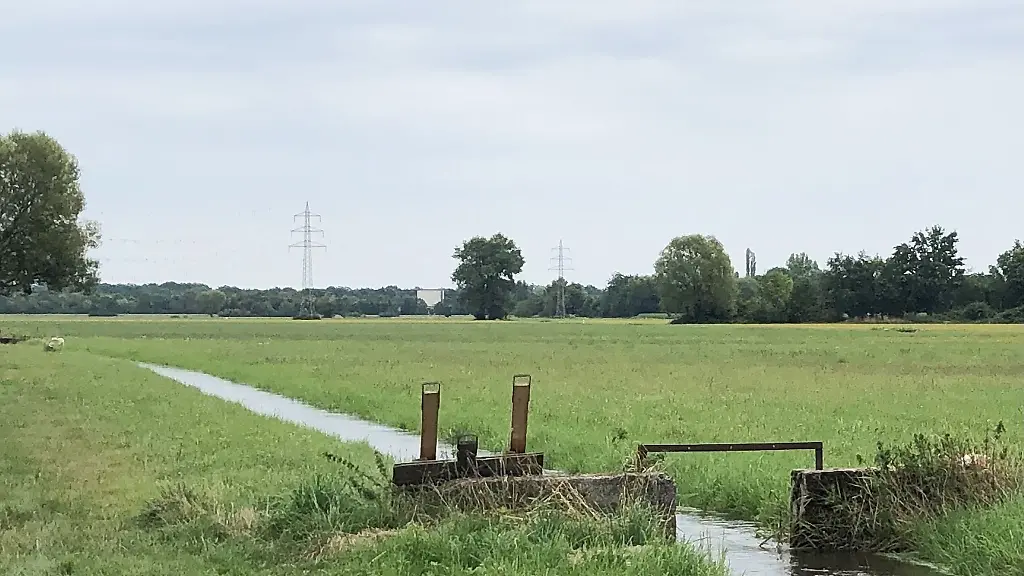 Eine-Wiese-bei-Offenbach-an-der-Queich