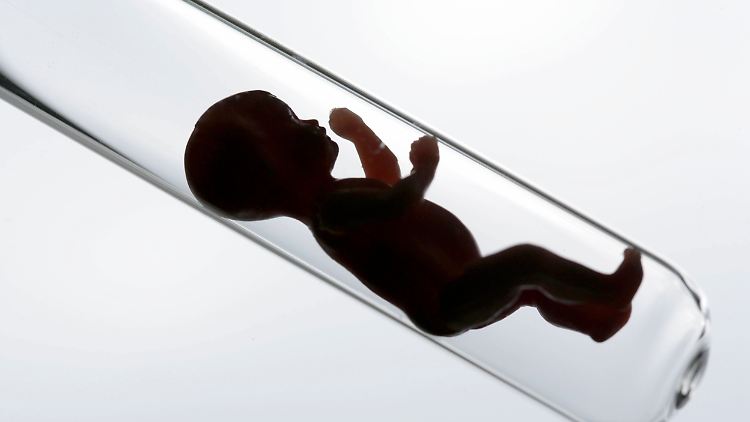 Die genetische Manipulation von Embryos ist ethisch bedenklich. 