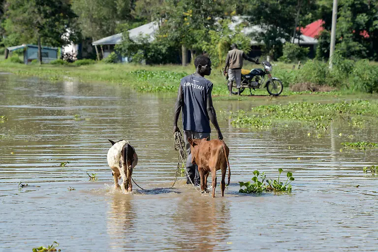 a6002c1ed242ff3b038f6b55127e67cc