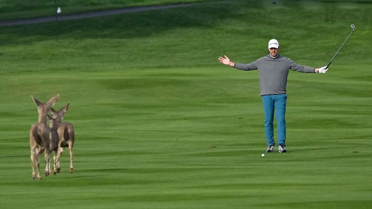 Aktuell vertreibt sich Rodgers die footballfreie Zeit mit Golfspielen.