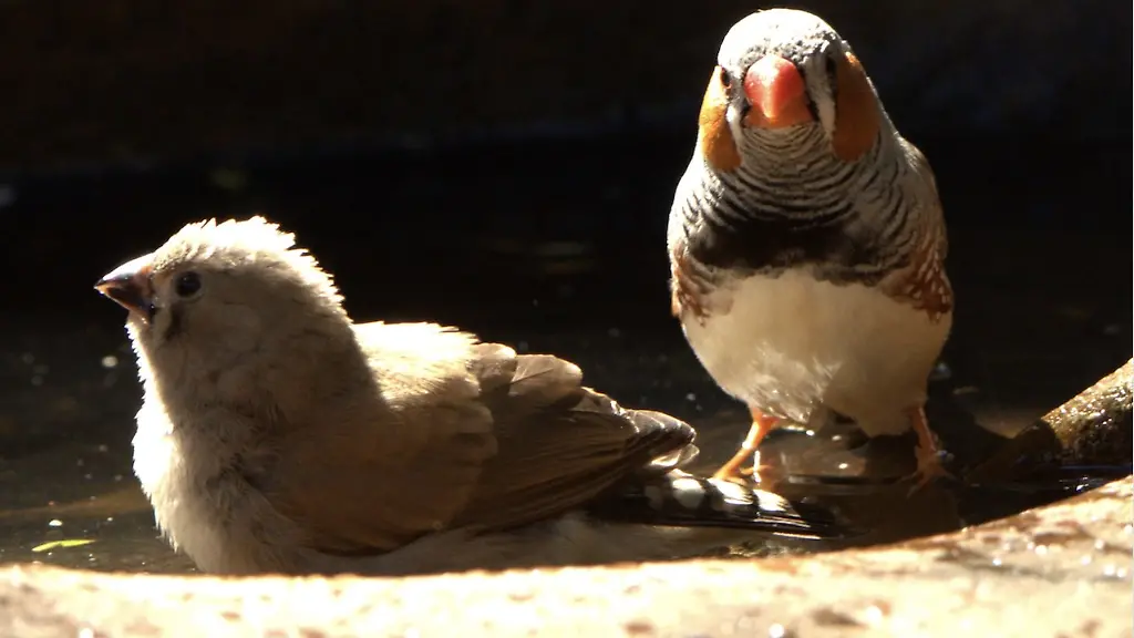 urn-binary-dpa-com-20090101-240423-99-779269-FILED