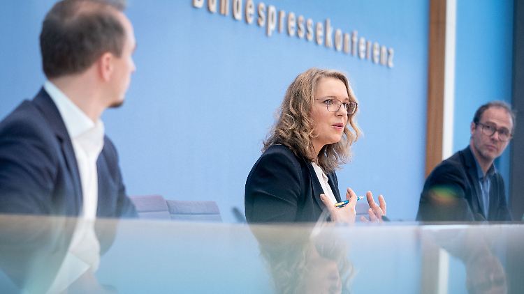 Claudia Kemfert ist Professorin für Energiewirtschaft und Energiepolitik an der Leuphana Universität in Lüneburg. Seit 2004 leitet sie die Abteilung "Energie, Verkehr, Umwelt" am Deutschen Institut für Wirtschaftsforschung (DIW).