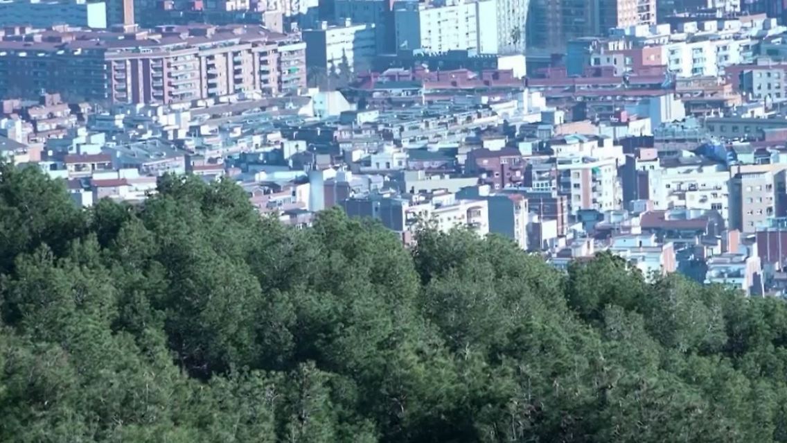 barcelona.JPG