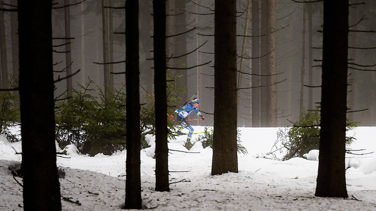 Pidrutschnji im Oberhofer Wald 