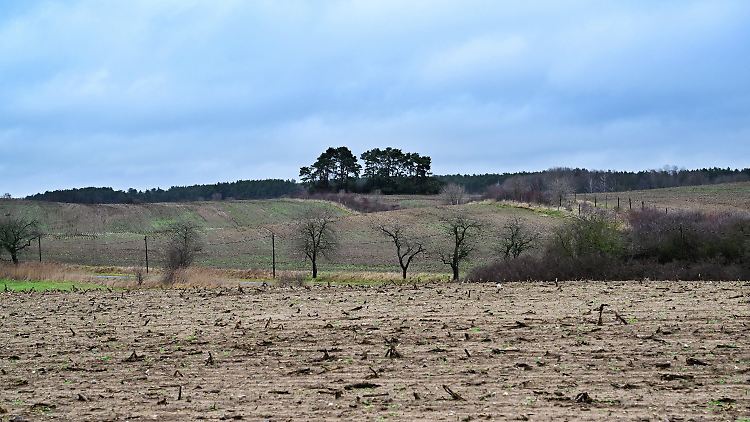 Dünn besiedelt - noch: die Uckermark. 