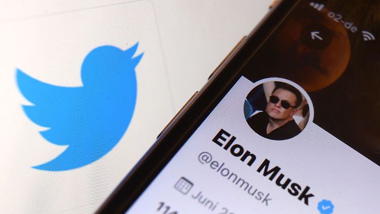 Elon Musk will den Chefposten bei Twitter wieder abgeben.