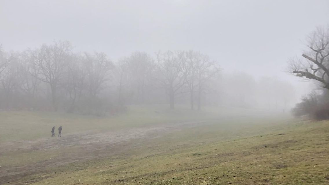 So fing in weiten Teilen Deutschlands der Tag an, doch dann setzte sich die Sonne durch.
