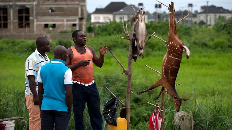 Ein Wildfleischhändler spricht mit potenziellen Kunden am Straßenrand im Bundesstaat Bayelsa, Nigeria.