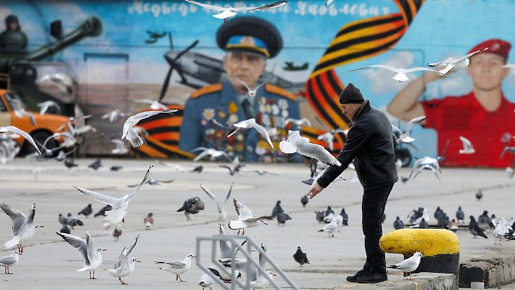 Möwenfüttern auf Yalta: Russland betrachtet einen ukrainischen Angriff auf die 2014 völkerrechtswidrig besetzte Krim als Angriff auf "unser Territorium".