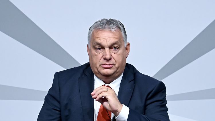 Viktor Orban setzt nun auf eine zweite Amtszeit Trumps.
