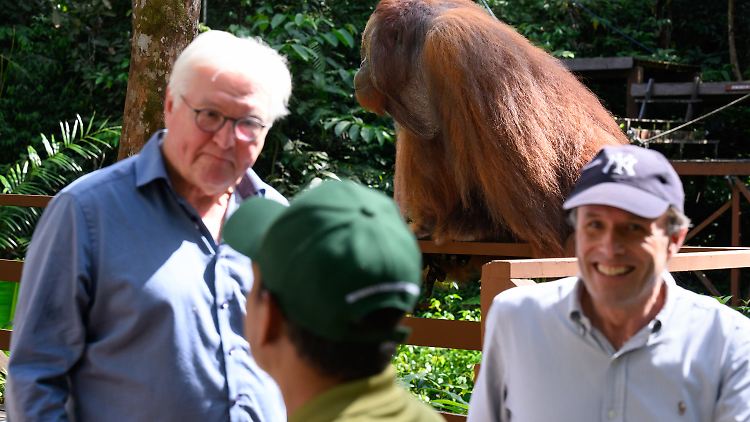 Bundespräsident Steinmeier hatte sich zuvor die Fütterung der Orang-Utans angeschaut. 