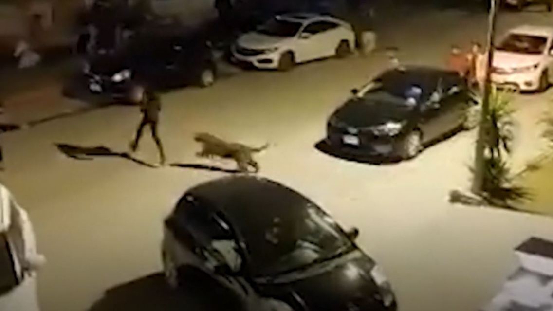 LeoIslamabad.JPG