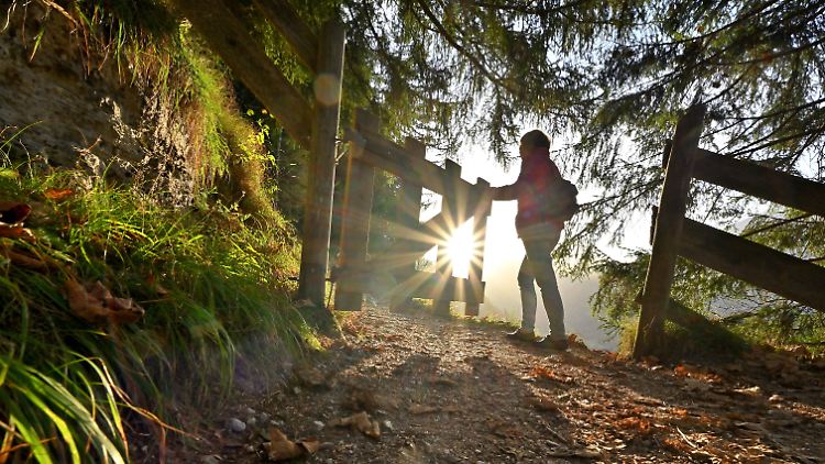 Lichtblick fürs Gehirn: Sich in einer neuen Umgebung zu bewegen und zu orientieren, ist gut für Körper und Geist und gibt wichtige Anregungen.