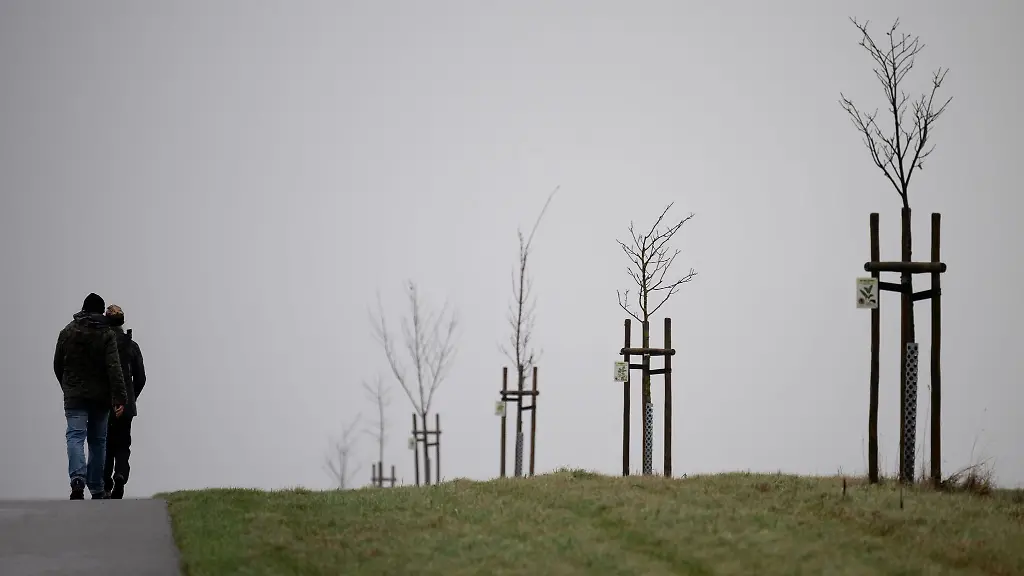 Zwei-Spaziergaenger-gehen-an-kahlen-Baeumen-vorbei