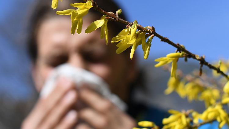 Jetzt schon Pollenflug?