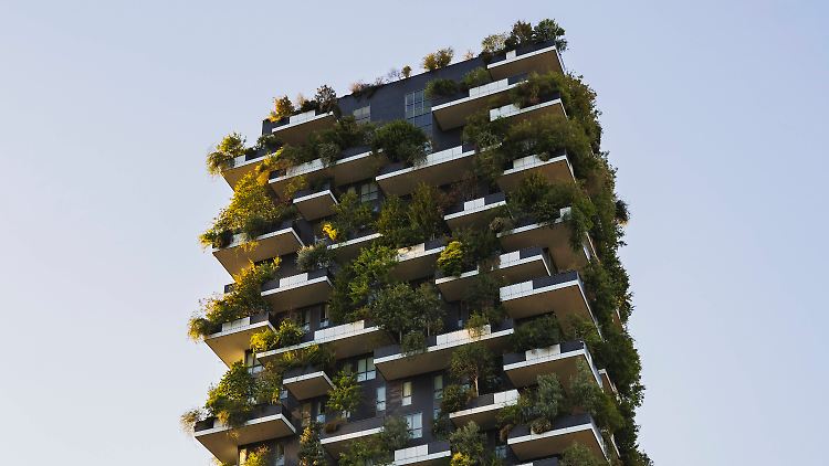 Die Stadt der Zukunft muss grüner werden, um Wasser zu speichern und die Artenvielfalt zu erhöhen.