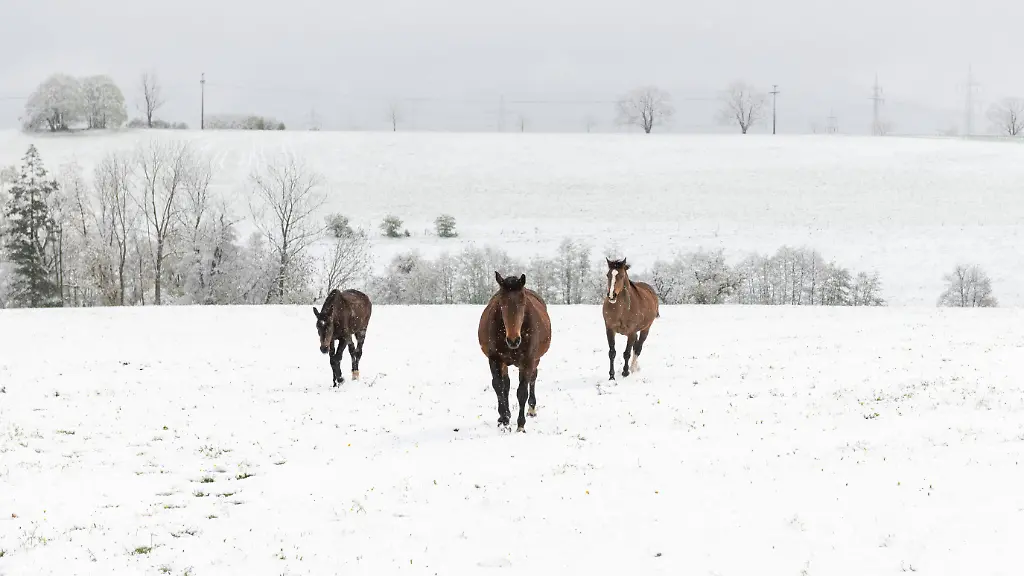 9375fa9e1f0f6ac33f7d6dd6a360f64e