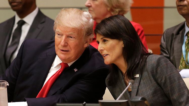 Trump und Haley wollen für die Republikaner zur Präsidentschaftswahl antreten, weitere Kandidaten dürften in den nächsten Wochen folgen. 