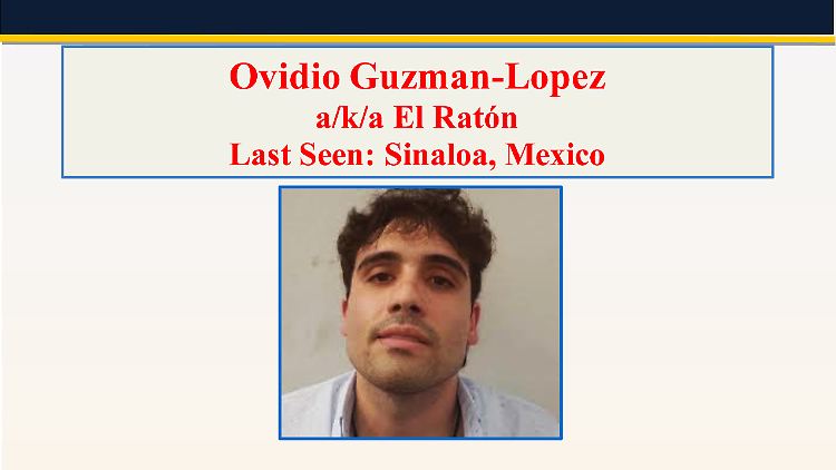 Bei Guzmáns Festnahme im mexikanischen Bundesstaat Sinaloa wurden 29 Menschen getötet.