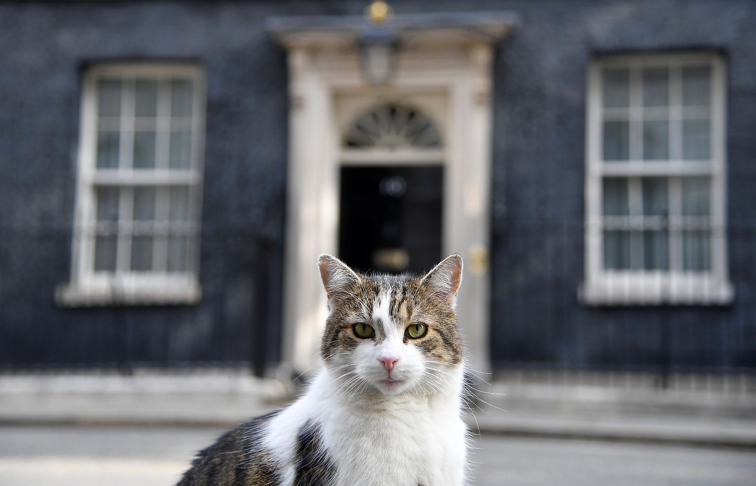 Seit zwölf Jahren hat Downing Street 10 in London einen permanenten Bewohner.