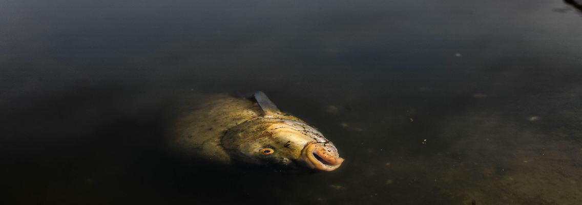 imago238167956.jpg