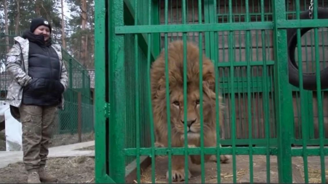 ukrianische-tierretterin.JPG