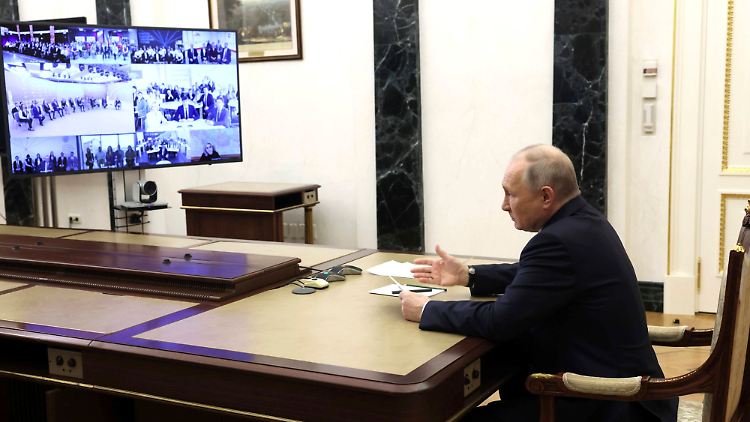 Persönlich trafen die Teilnehmer der Runde nicht mit Putin zusammen.