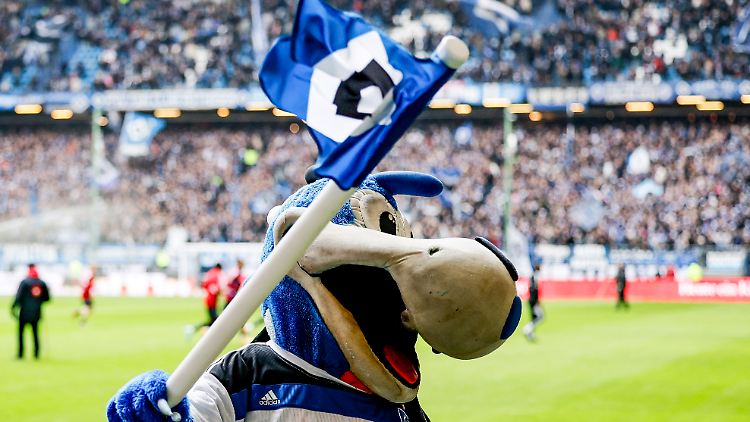 Schon vor dem Spiel gegen den 1. FC Nürnberg war Dino, das HSV-Maskottchen, bester Dinge. 