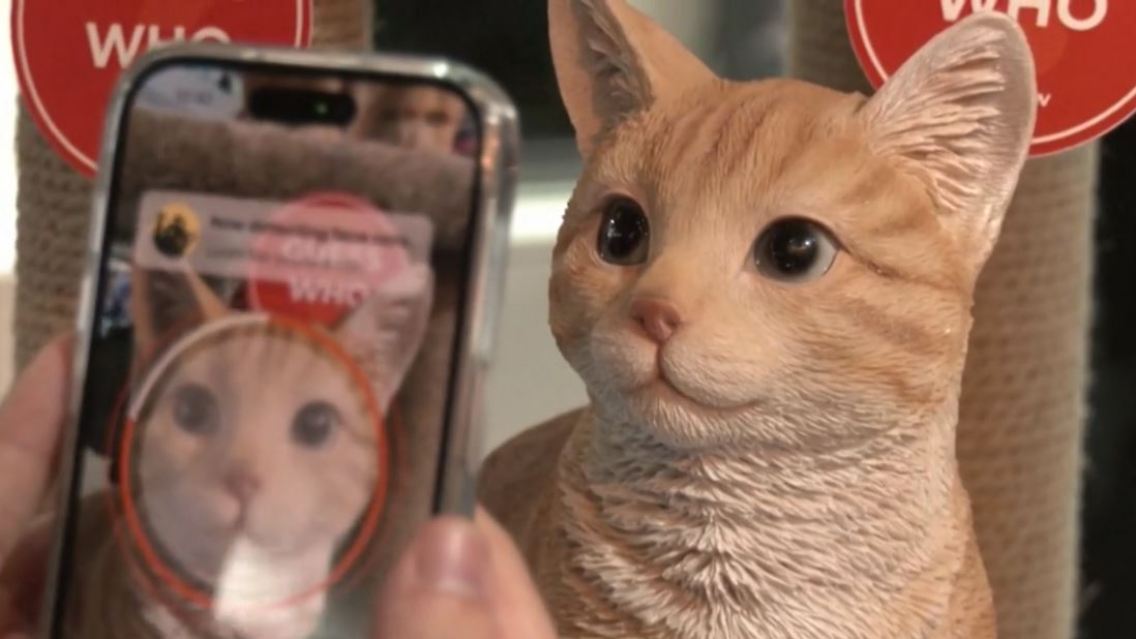 katzen-hunde-app-erkennung.JPG